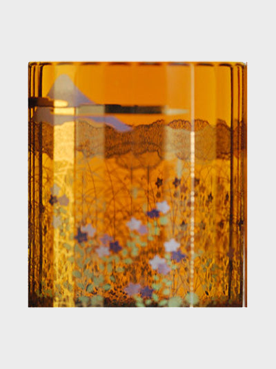 Hibiki 17 Years Old Mount Fuji Limited Edition