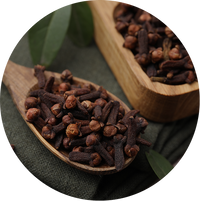 Clove