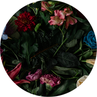 Floral