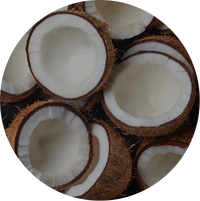 Coconut