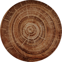 Mizunara Oak