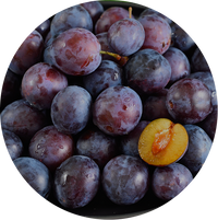 Plum
