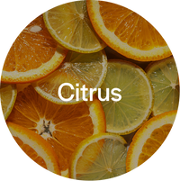 Citrus