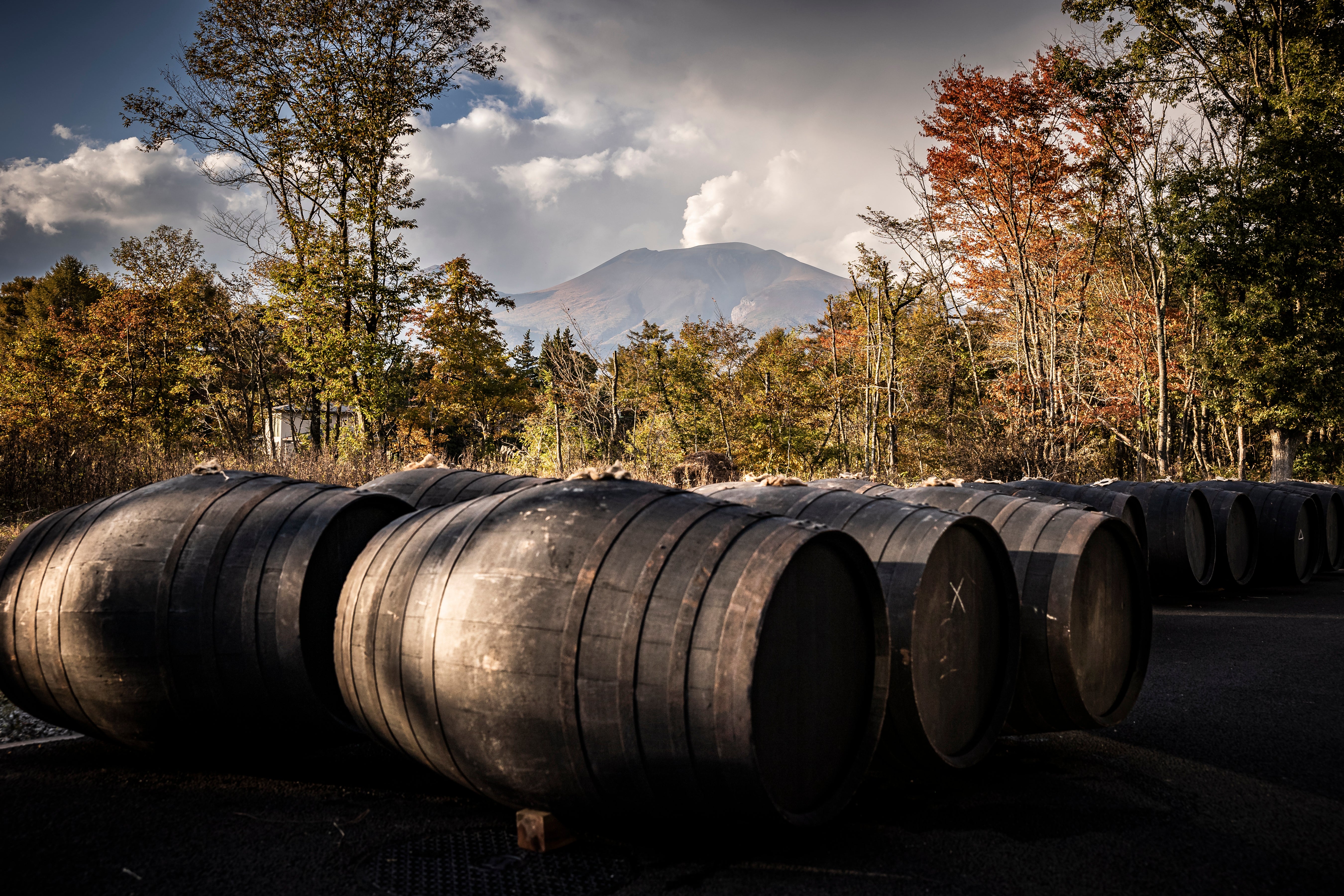 Karuizawa Whisky Casks - Register Your Interest
