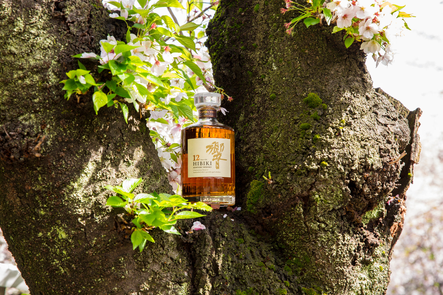 Hibiki 12 Years Old Final Product Black Friday Special