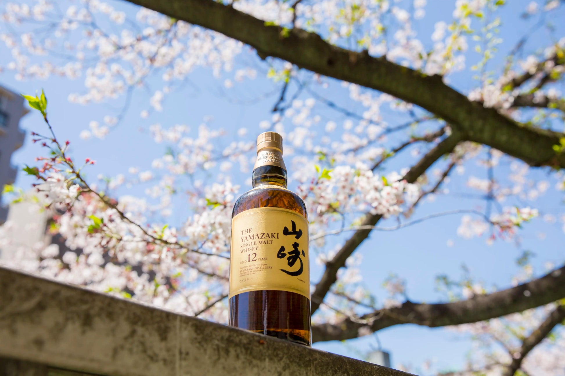 Yamazaki 12 Year Old (USA Exclusive)