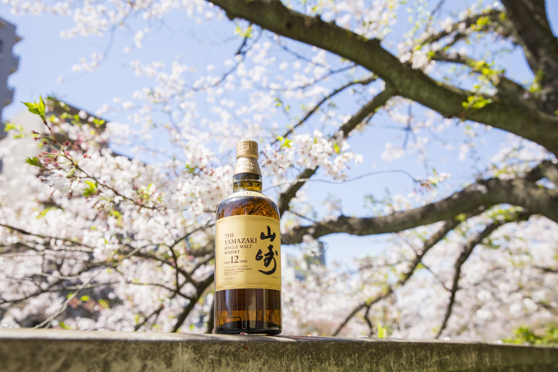 Yamazaki 12 Year Old (USA Exclusive)