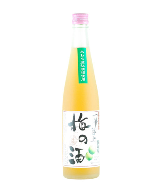 Umeshu Japanese Apricot Wine "Ippitsukeijo"
