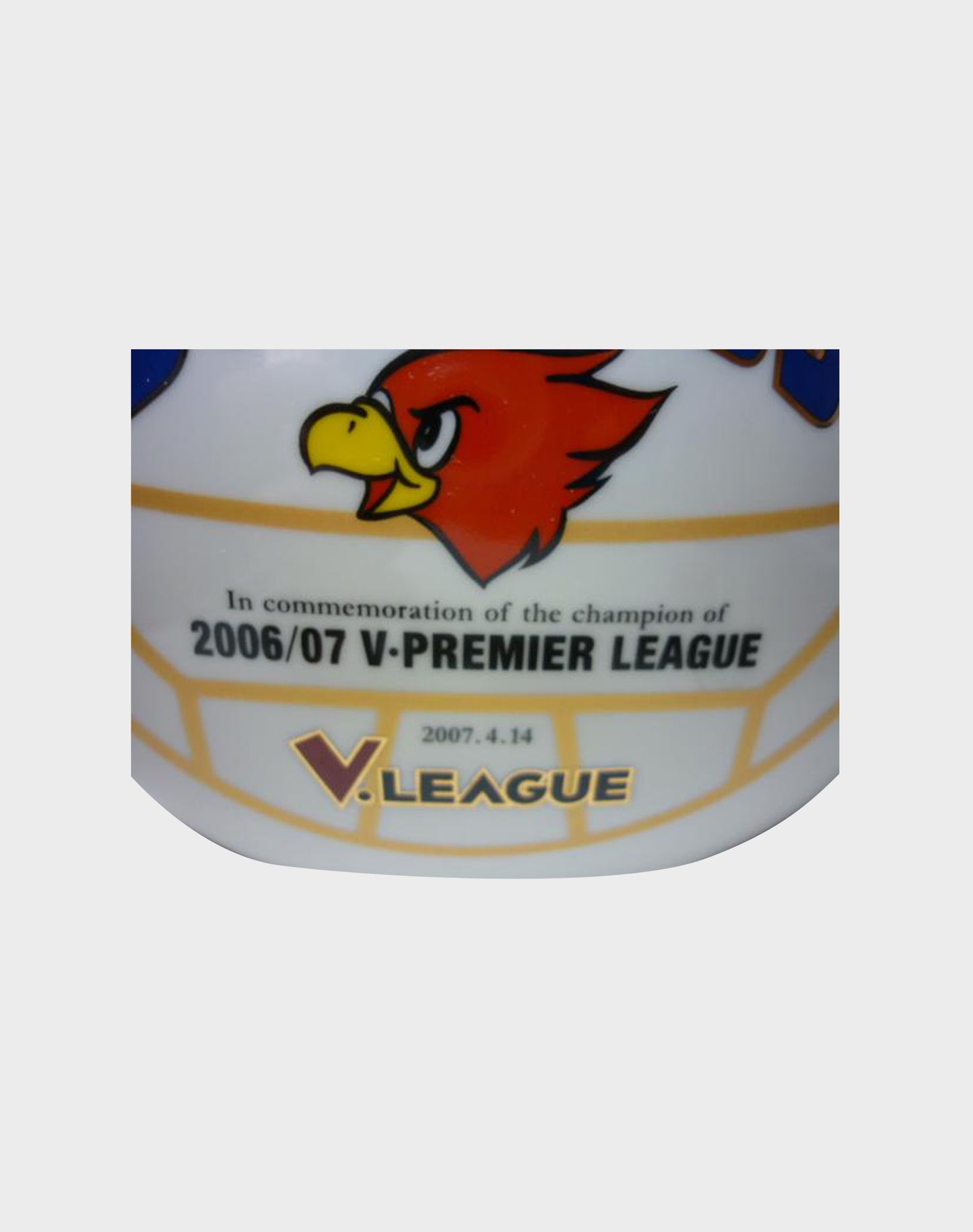 Suntory Yamazaki Sunbirds V-Premier League 12 Year Old Set