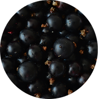 Blackcurrants